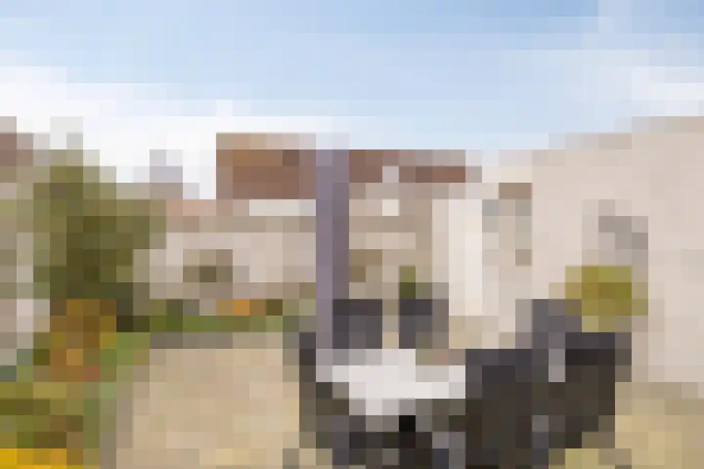 Hertgang 15 Veldhoven thumbnail 19
