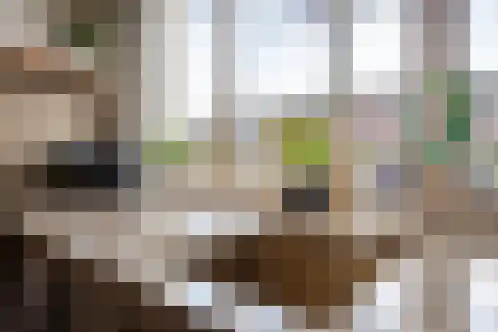 Hertgang 33 Veldhoven thumbnail 9