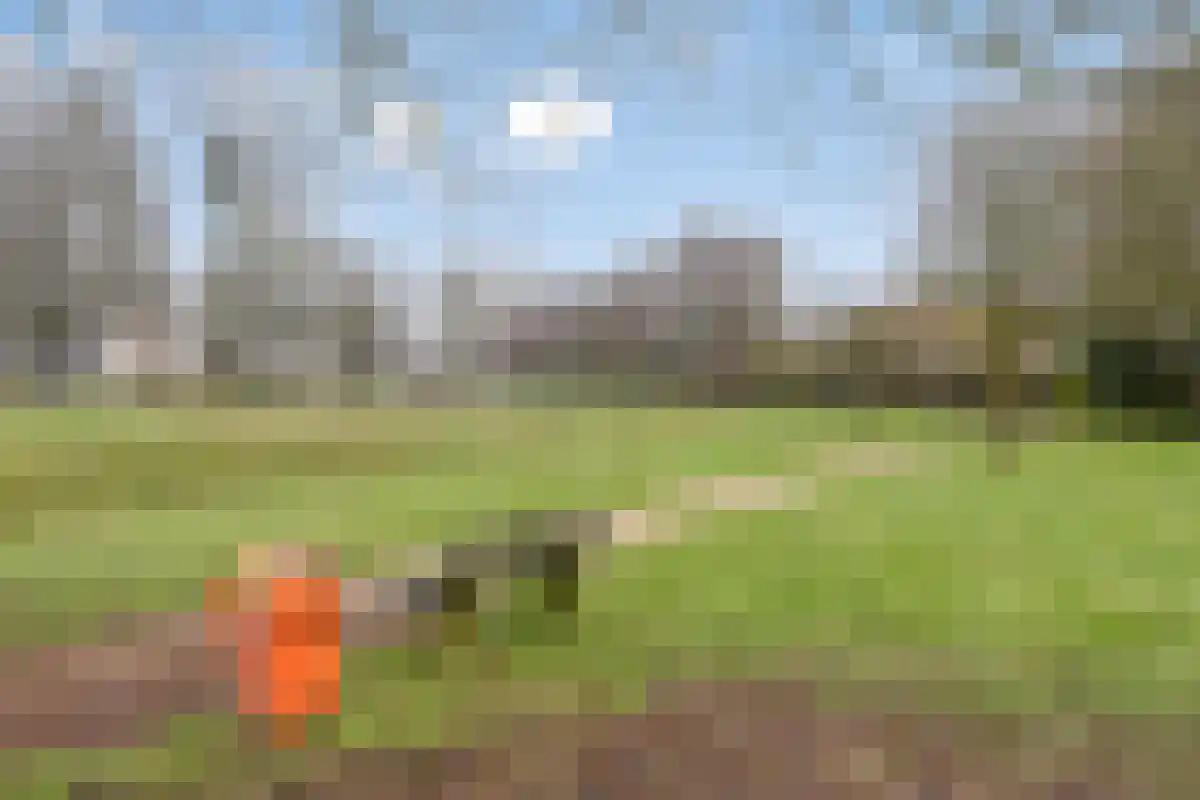 Hertgang 78 Veldhoven thumbnail 29