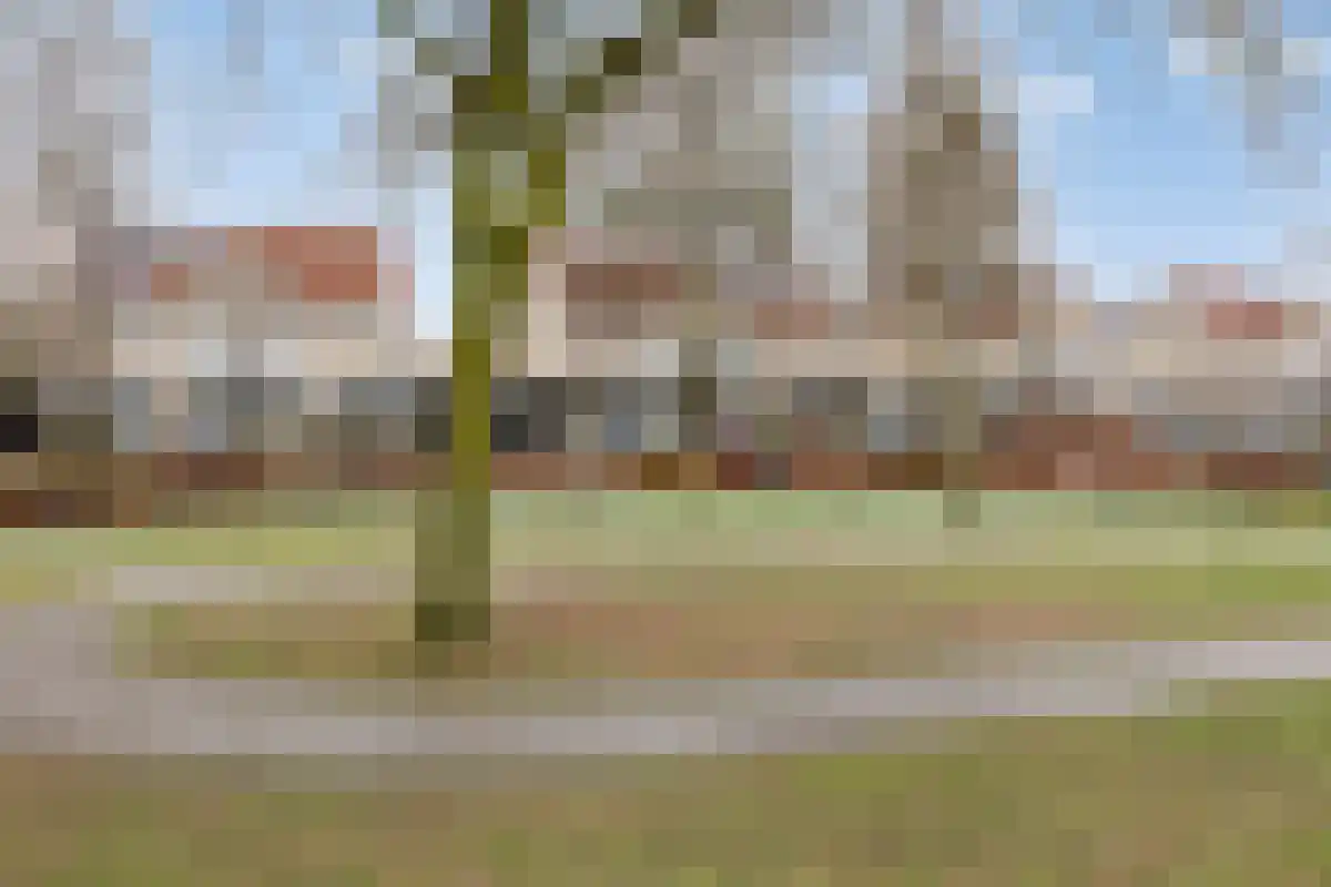 Hertgang 78 Veldhoven thumbnail 30