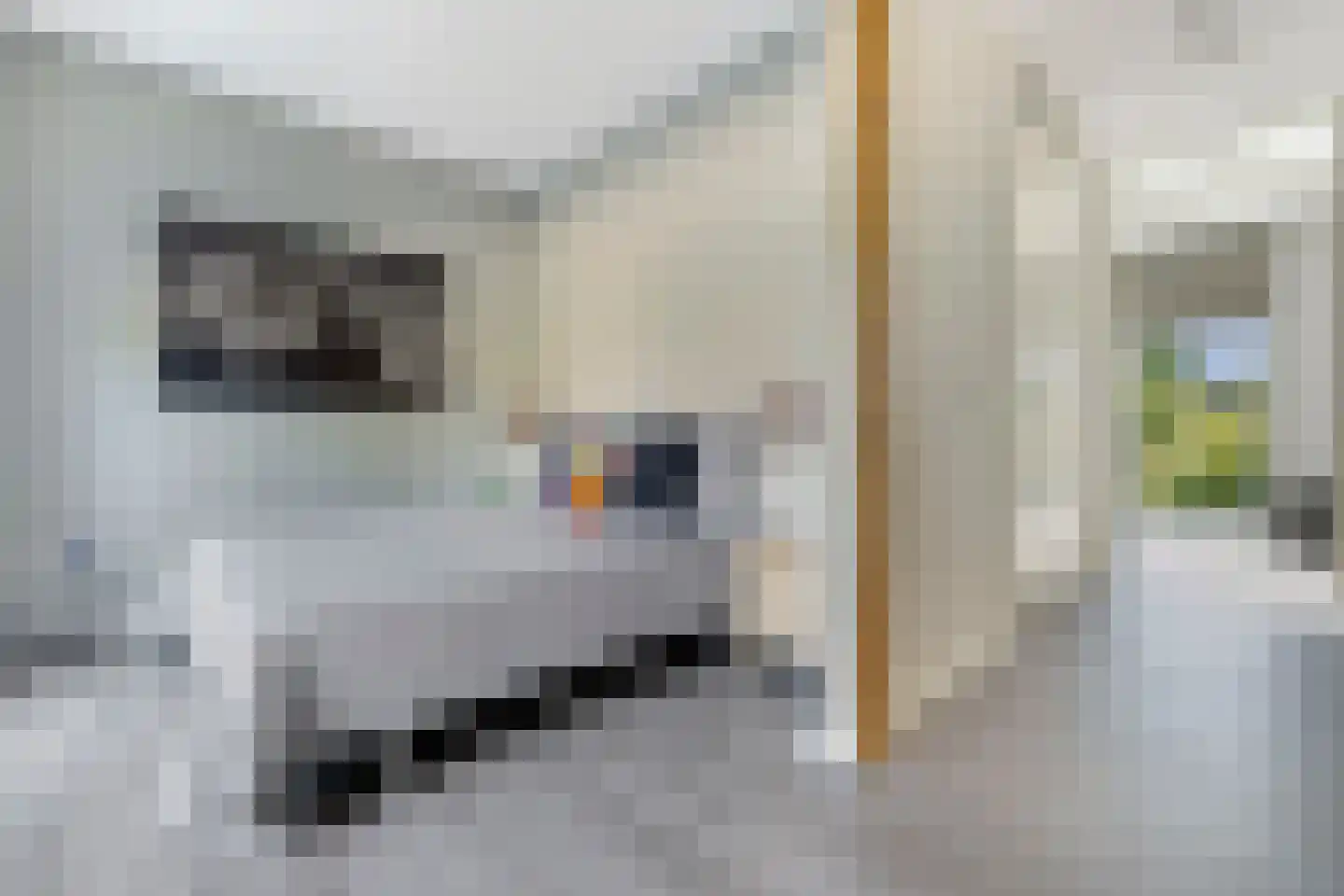 Hertgang 84 Veldhoven thumbnail 27
