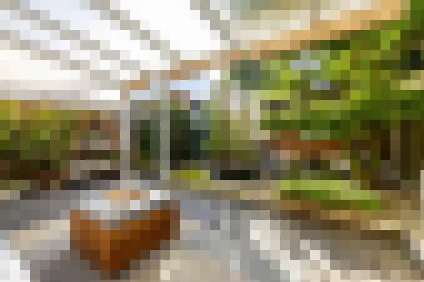 Hertgang 84 Veldhoven thumbnail 34
