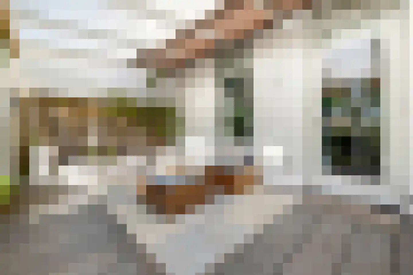 Hertgang 84 Veldhoven thumbnail 5