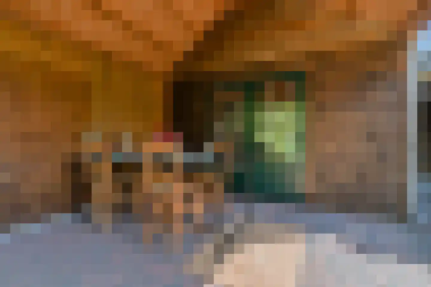 Hertlaan 11 Vierhouten thumbnail 21