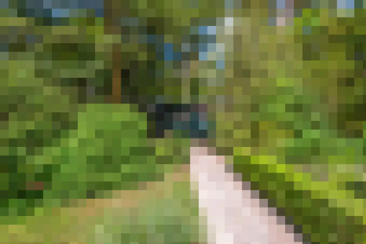 Hertlaan 11 Vierhouten thumbnail 25