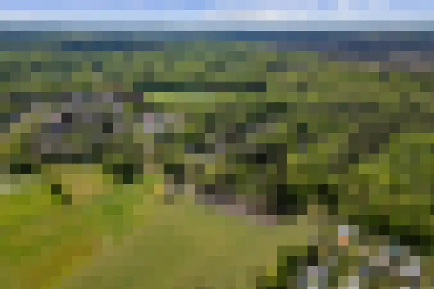 Hertlaan 11 Vierhouten thumbnail 49