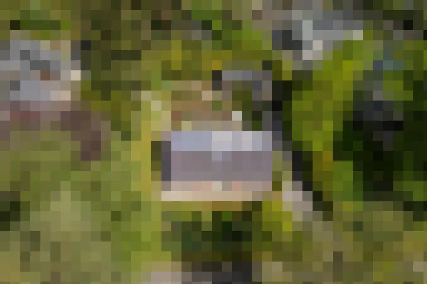 Hertlaan 11 Vierhouten thumbnail 51