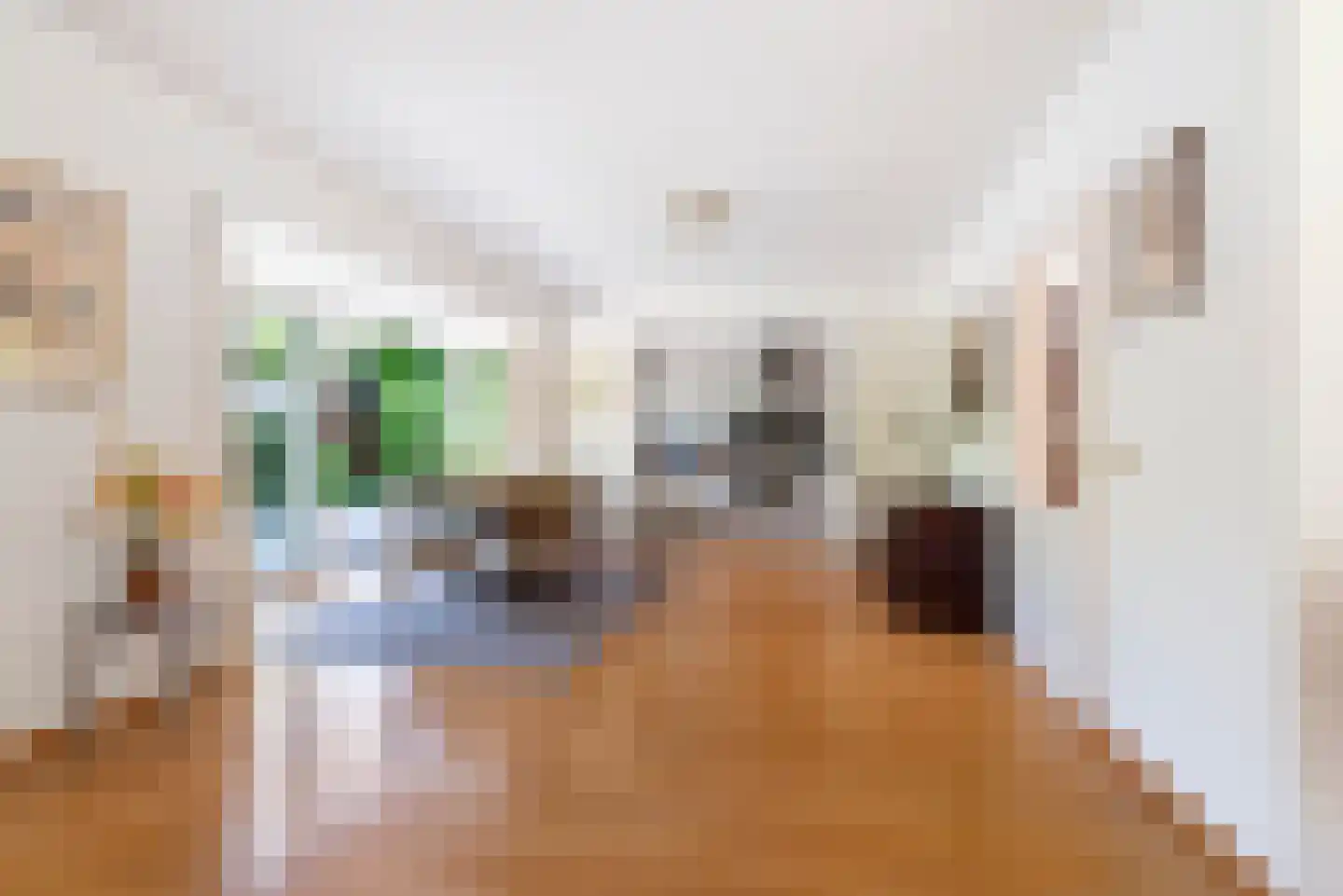 Hertlaan 11 Vierhouten thumbnail 9