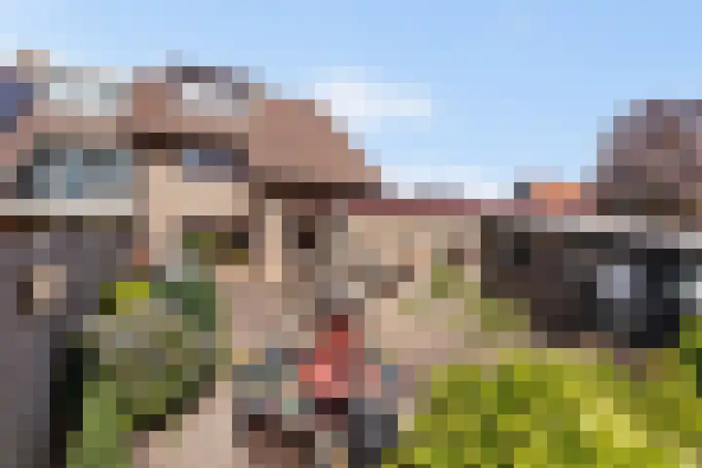 Hertmerdwarsweg 1 a Hertme thumbnail 18