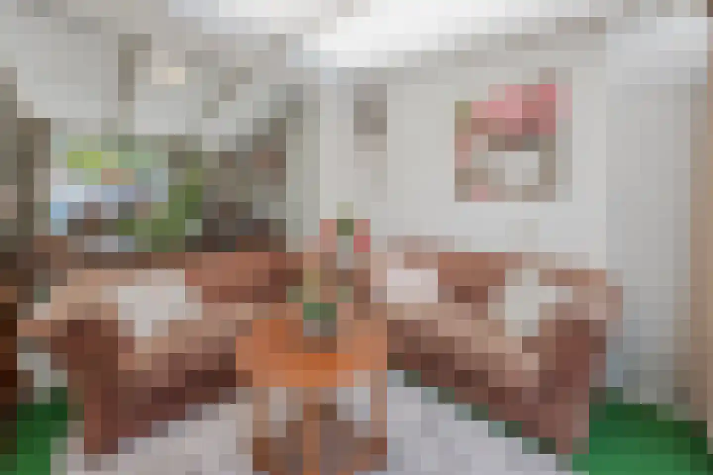 Hertog Adolfstraat 10 Tiel thumbnail 19