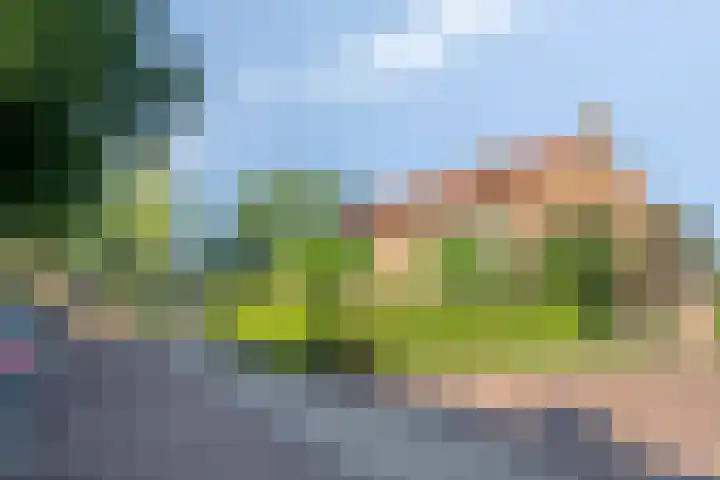 Hertog Adolfweg 16 't Harde thumbnail 5