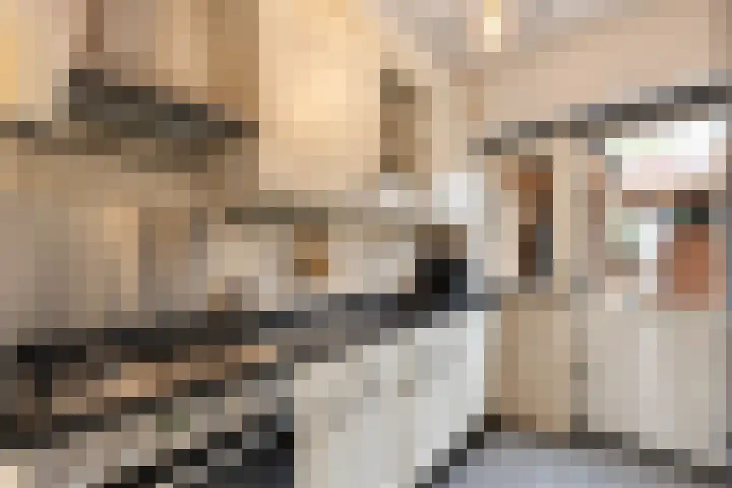 Hertog Aelbrechtstraat 75 Hilversum thumbnail 16