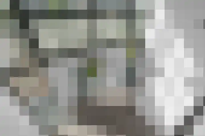 Hertog Albrechtlaan 17 Den Haag thumbnail 10