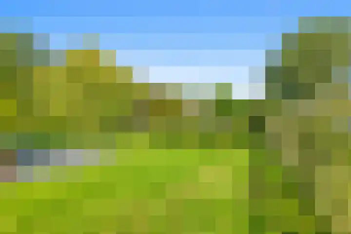 Hertog Albrechtlaan 17 Den Haag thumbnail 104