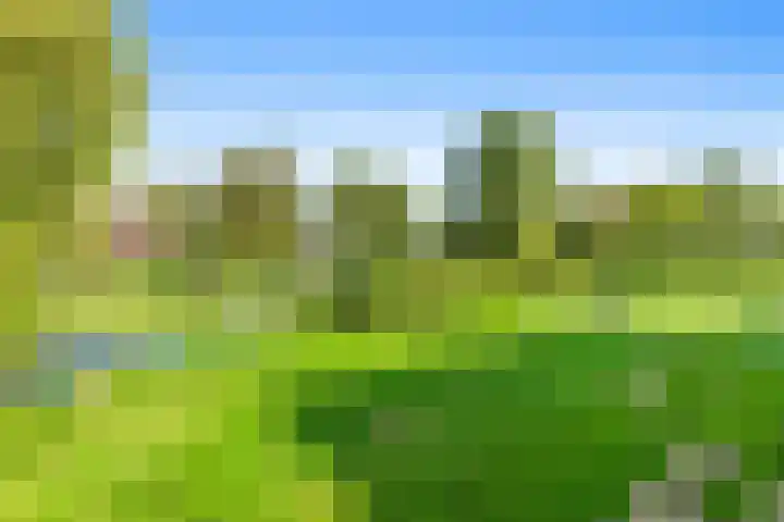Hertog Albrechtlaan 17 Den Haag thumbnail 109