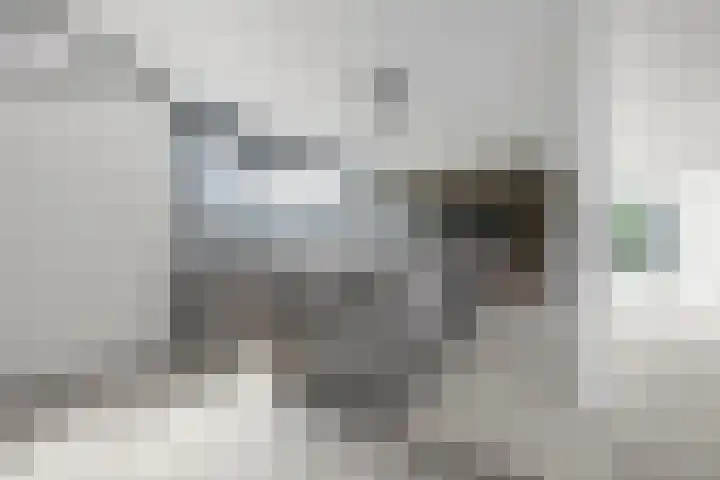 Hertog Albrechtlaan 17 Den Haag thumbnail 18