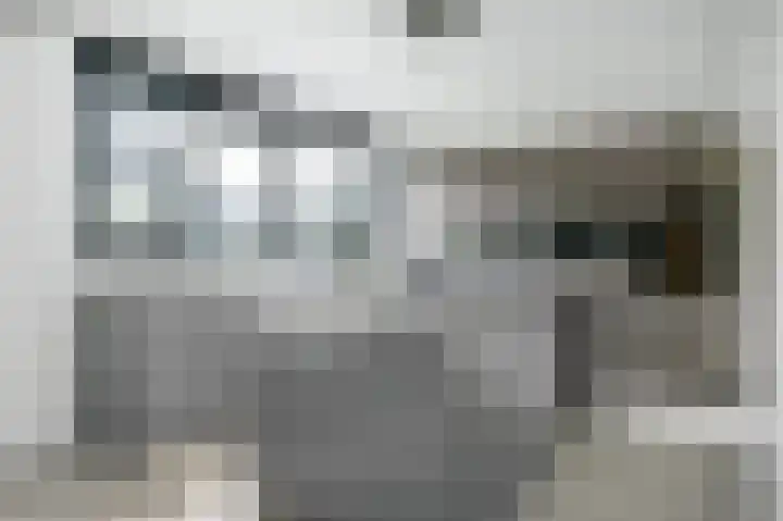 Hertog Albrechtlaan 17 Den Haag thumbnail 19