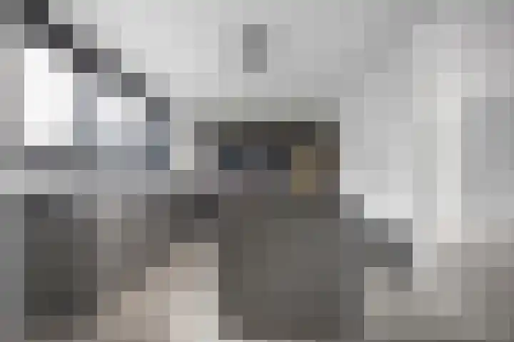 Hertog Albrechtlaan 17 Den Haag thumbnail 21