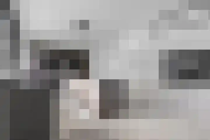 Hertog Albrechtlaan 17 Den Haag thumbnail 22
