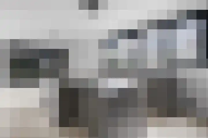 Hertog Albrechtlaan 17 Den Haag thumbnail 23