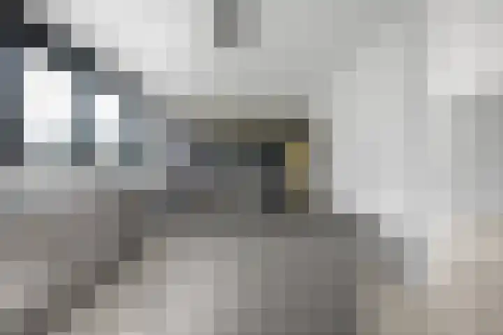 Hertog Albrechtlaan 17 Den Haag thumbnail 24