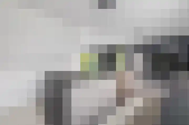 Hertog Albrechtlaan 17 Den Haag thumbnail 25