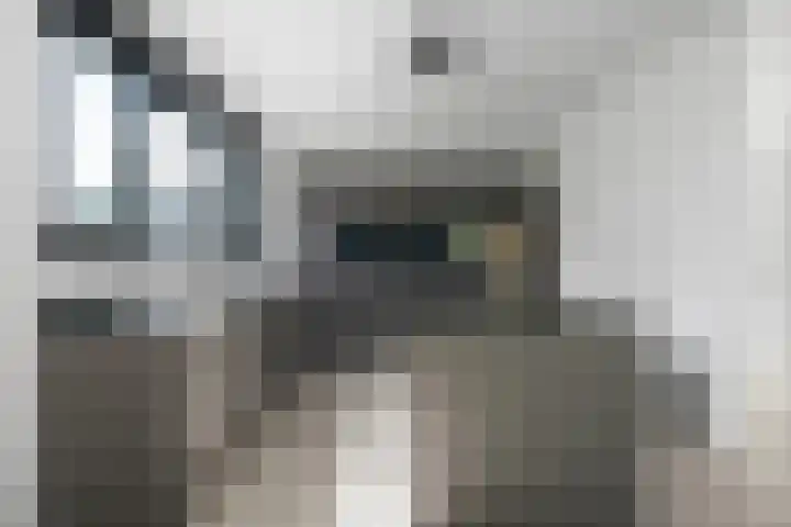 Hertog Albrechtlaan 17 Den Haag thumbnail 26