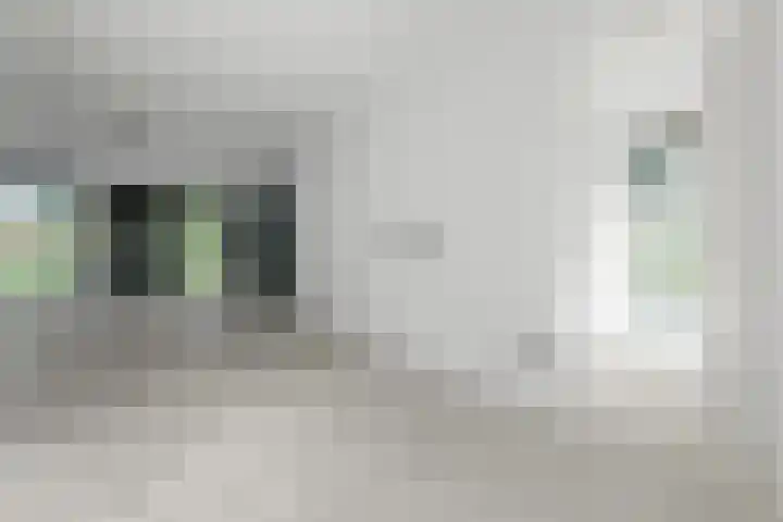 Hertog Albrechtlaan 17 Den Haag thumbnail 36