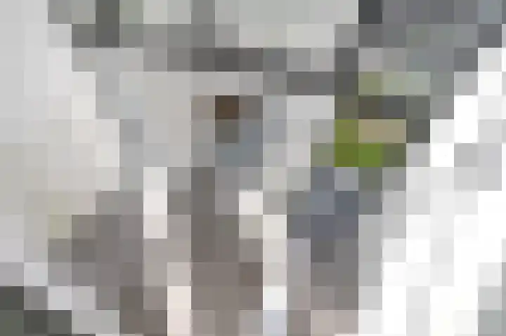Hertog Albrechtlaan 17 Den Haag thumbnail 39