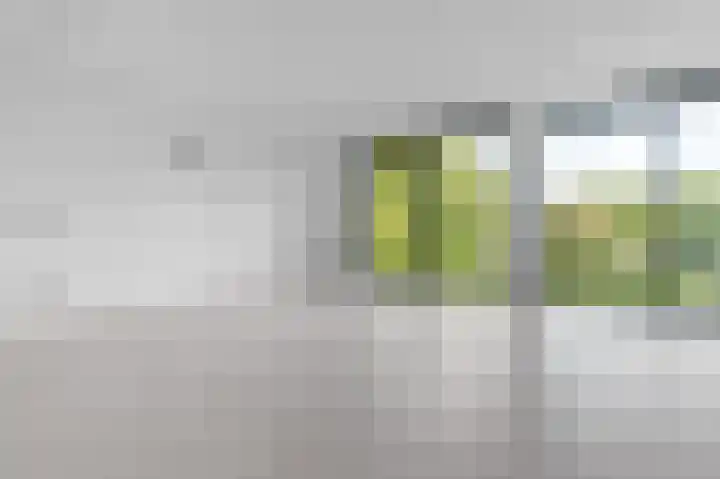Hertog Albrechtlaan 17 Den Haag thumbnail 61
