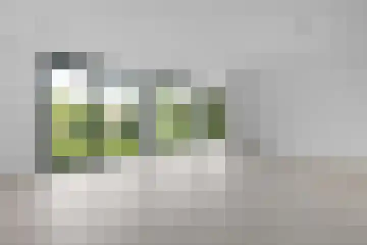 Hertog Albrechtlaan 17 Den Haag thumbnail 63