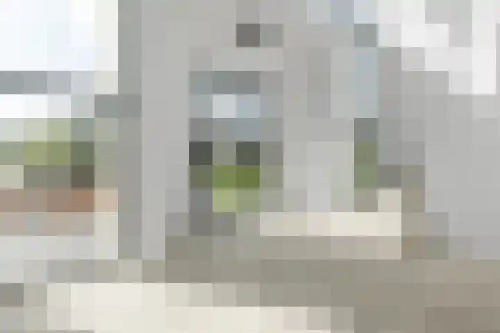 Hertog Albrechtlaan 17 Den Haag thumbnail 7