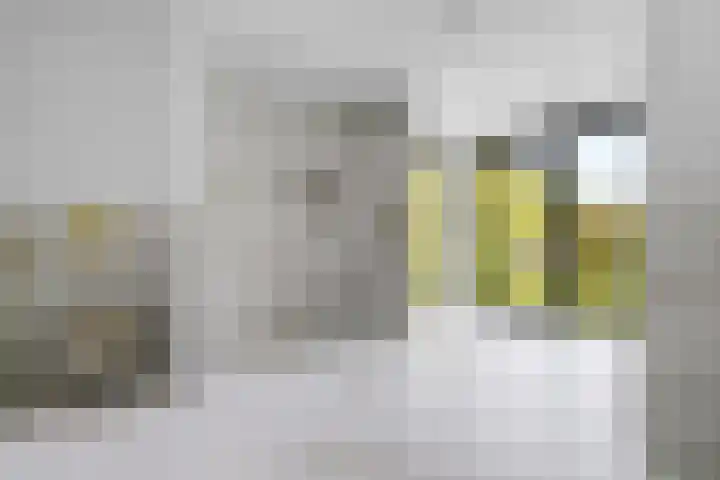 Hertog Albrechtlaan 17 Den Haag thumbnail 70