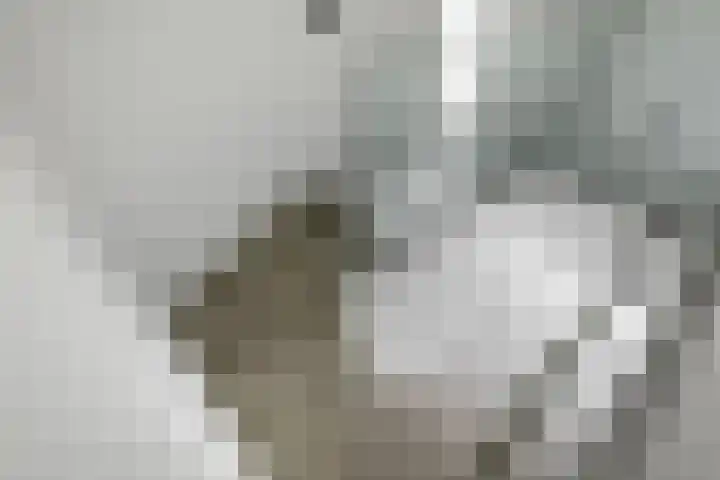 Hertog Albrechtlaan 17 Den Haag thumbnail 73