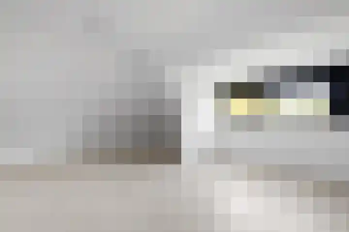 Hertog Albrechtlaan 17 Den Haag thumbnail 79