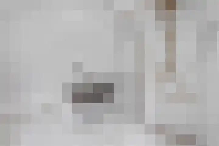 Hertog Albrechtlaan 17 Den Haag thumbnail 84