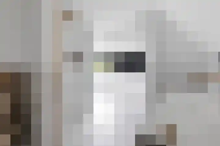 Hertog Albrechtlaan 17 Den Haag thumbnail 87