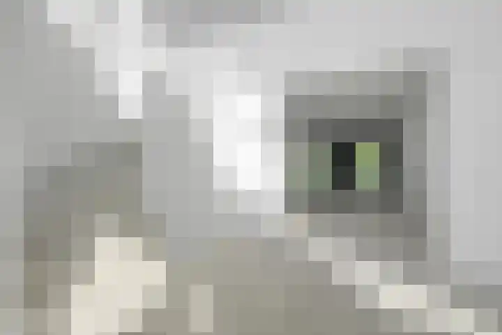 Hertog Albrechtlaan 17 Den Haag thumbnail 9