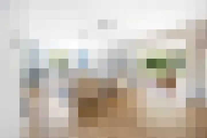 Hertog Albrechtlaan 29 Den Haag thumbnail 10