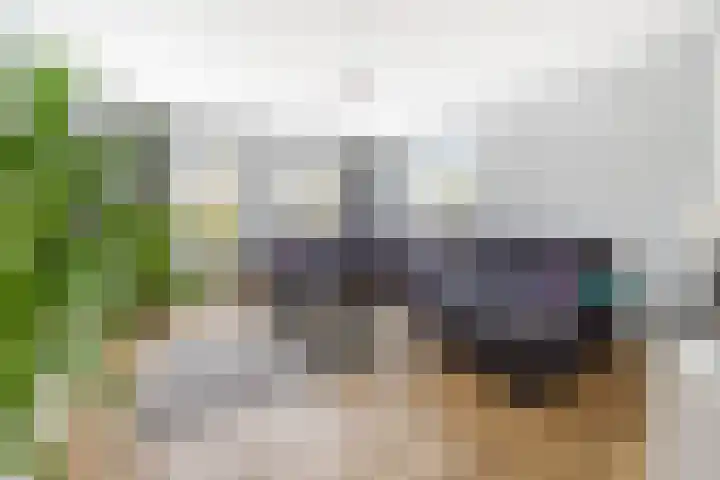 Hertog Albrechtlaan 29 Den Haag thumbnail 12