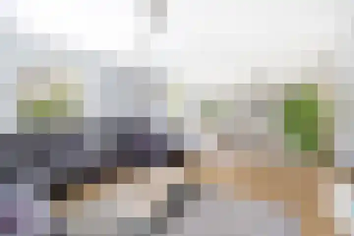 Hertog Albrechtlaan 29 Den Haag thumbnail 13
