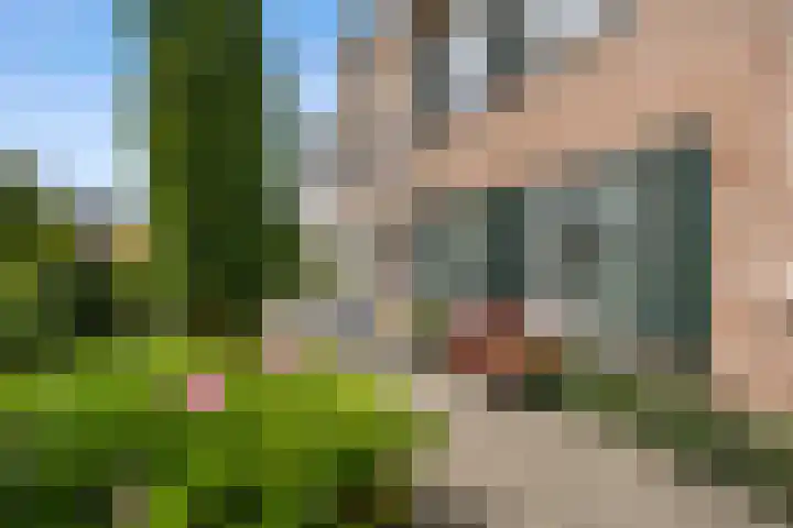 Hertog Albrechtlaan 29 Den Haag thumbnail 5