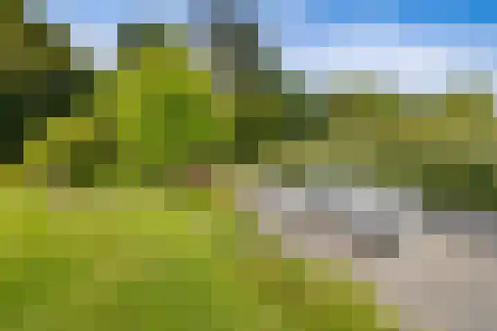 Hertog Albrechtlaan 29 Den Haag thumbnail 54