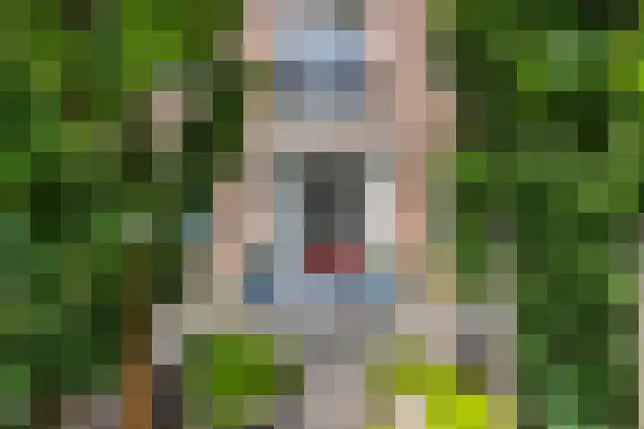 Hertog Albrechtlaan 29 Den Haag thumbnail 6