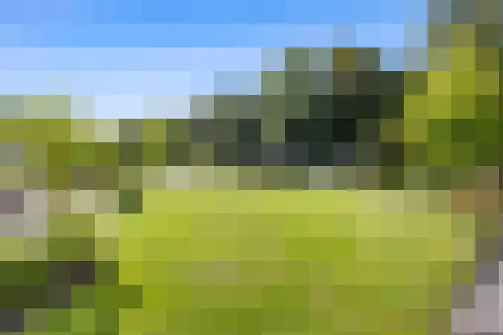 Hertog Albrechtlaan 29 Den Haag thumbnail 64