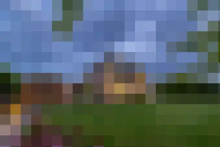 Hertog Albrechtlaan 29 Den Haag thumbnail 68