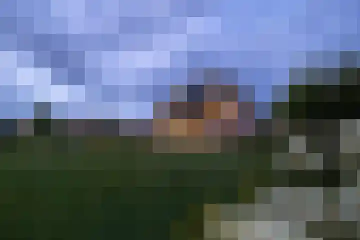 Hertog Albrechtlaan 29 Den Haag thumbnail 69