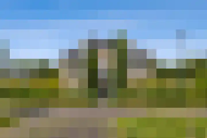 Hertog Albrechtlaan 29 Den Haag thumbnail 79
