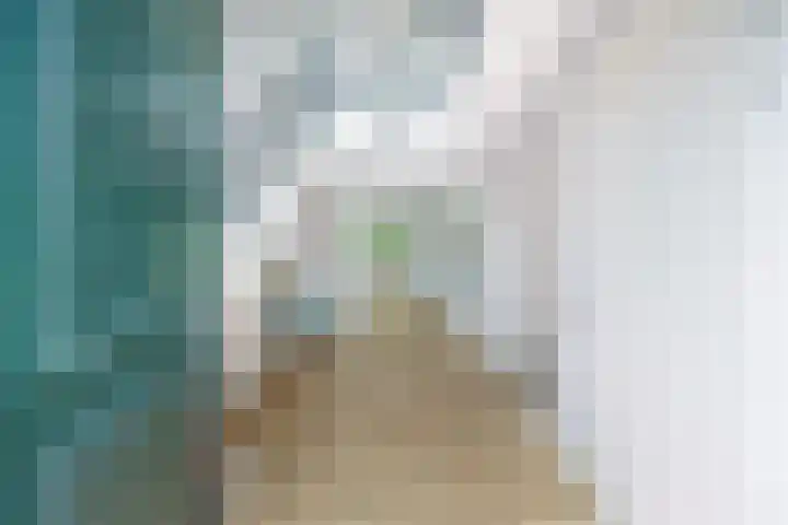 Hertog Albrechtlaan 29 Den Haag thumbnail 8