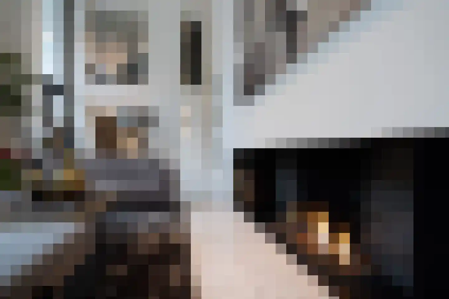 Hertog Albrechtlaan 37 Den Haag thumbnail 10